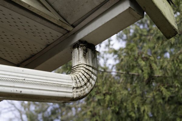 Roof Drain Replacement in Denver